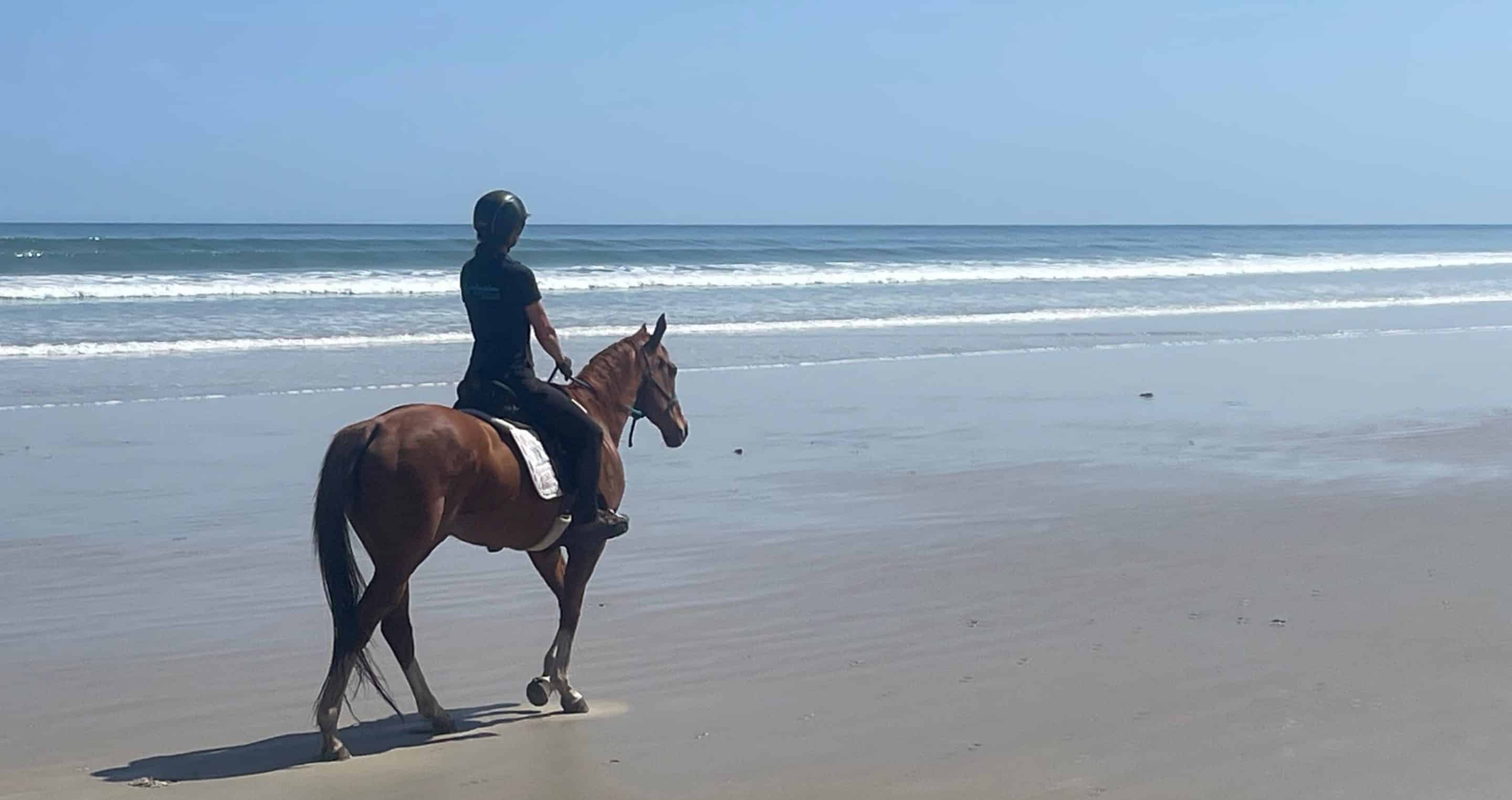 WalkSublime | Horse at the beach