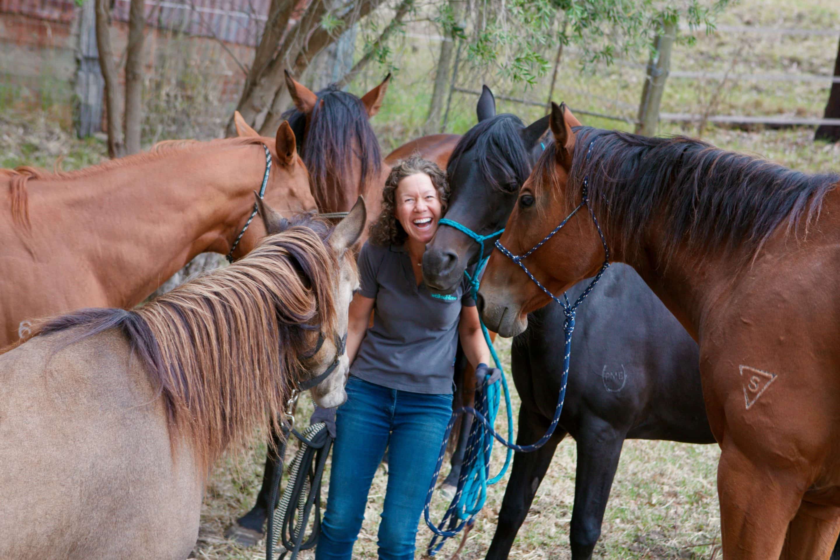 Happy lady in the centre of a circle with five horses around her