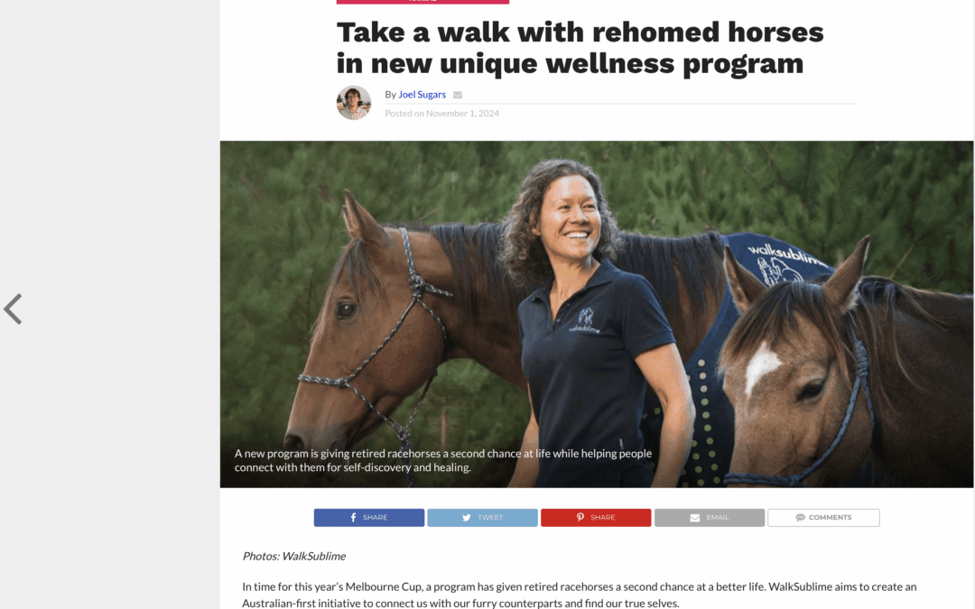 Glam Adelaide | Take a Walk with Rehomed Horses in new Unique Wellness Program