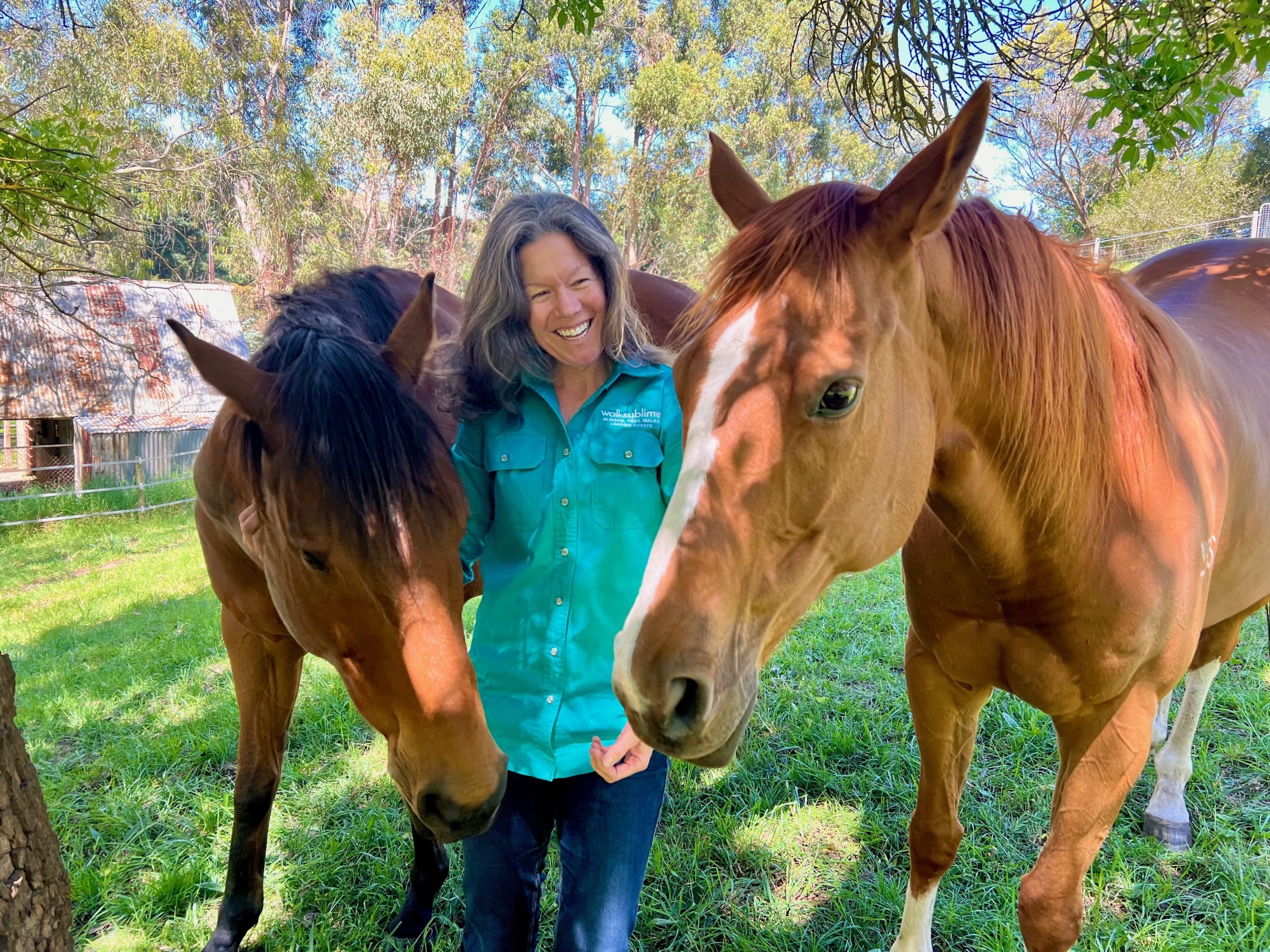 Founder Mel under a tree with two resting ex racehorses