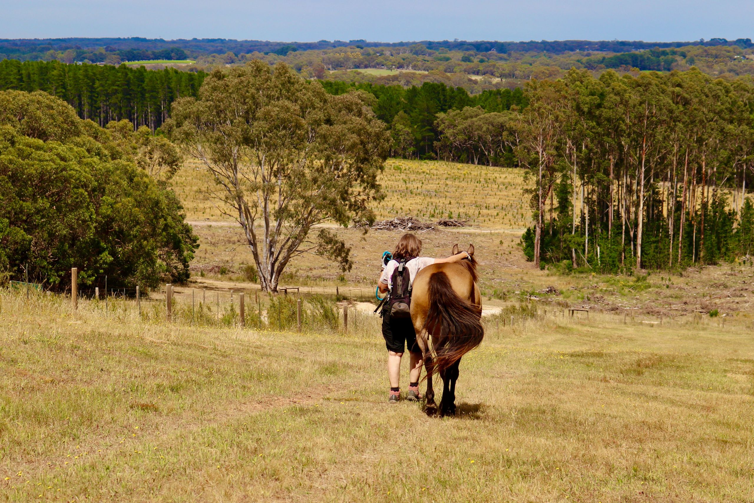 Heal Lady hugging horse as they walk together in nature