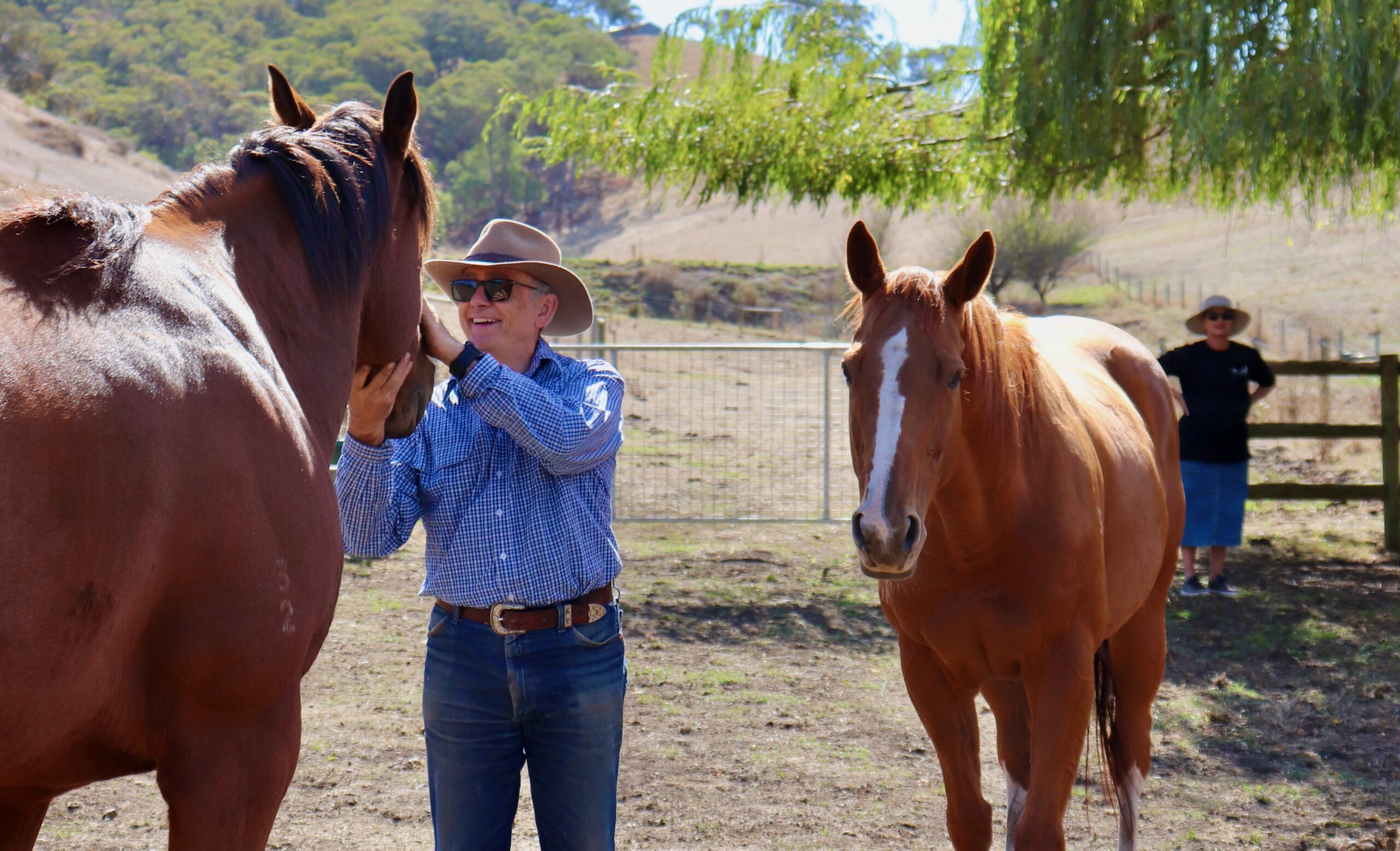 Soulful encounter | Couple relaxing with free roaming ex racehorses