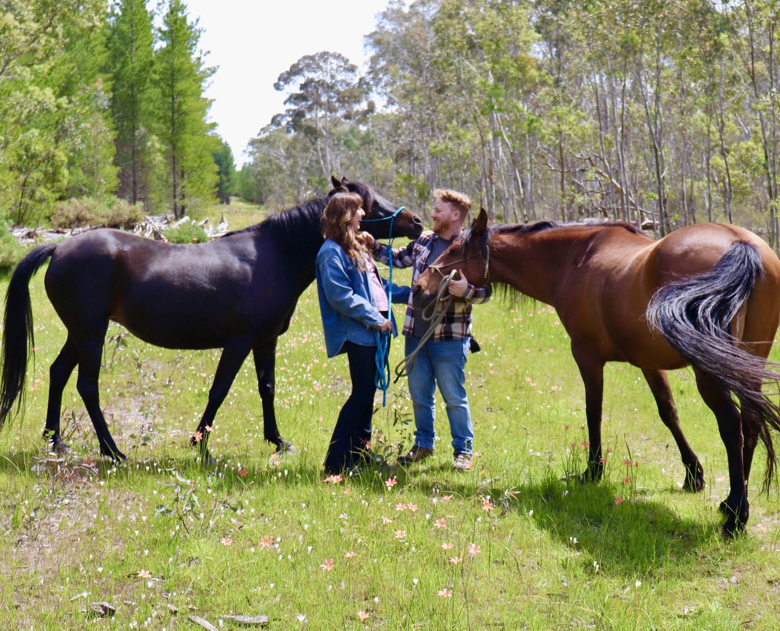 Fairytale proposal horse experience