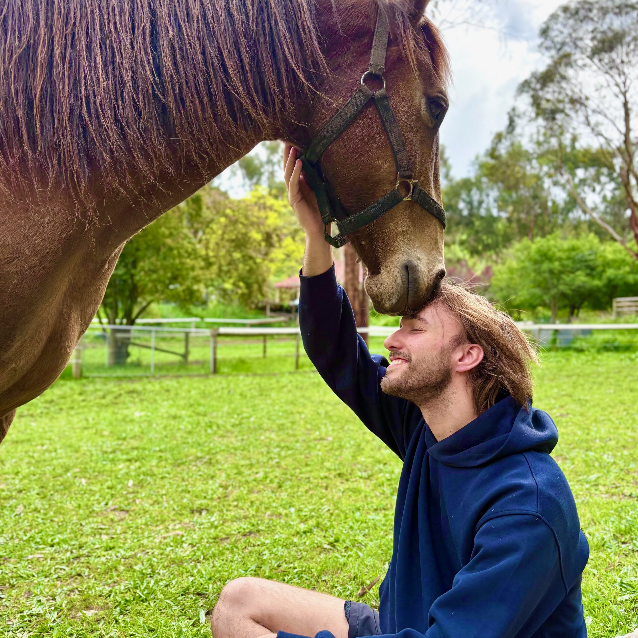 Just Be horse farm experience