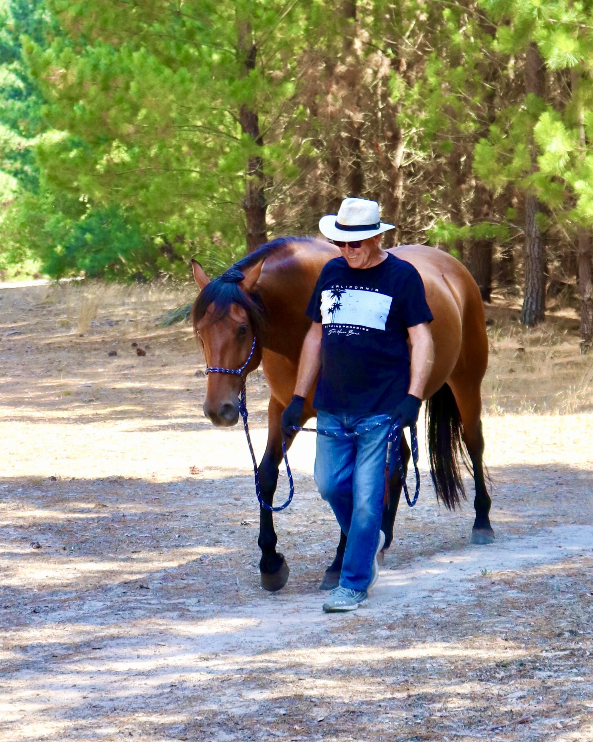 Walking with Horses gift vouchers