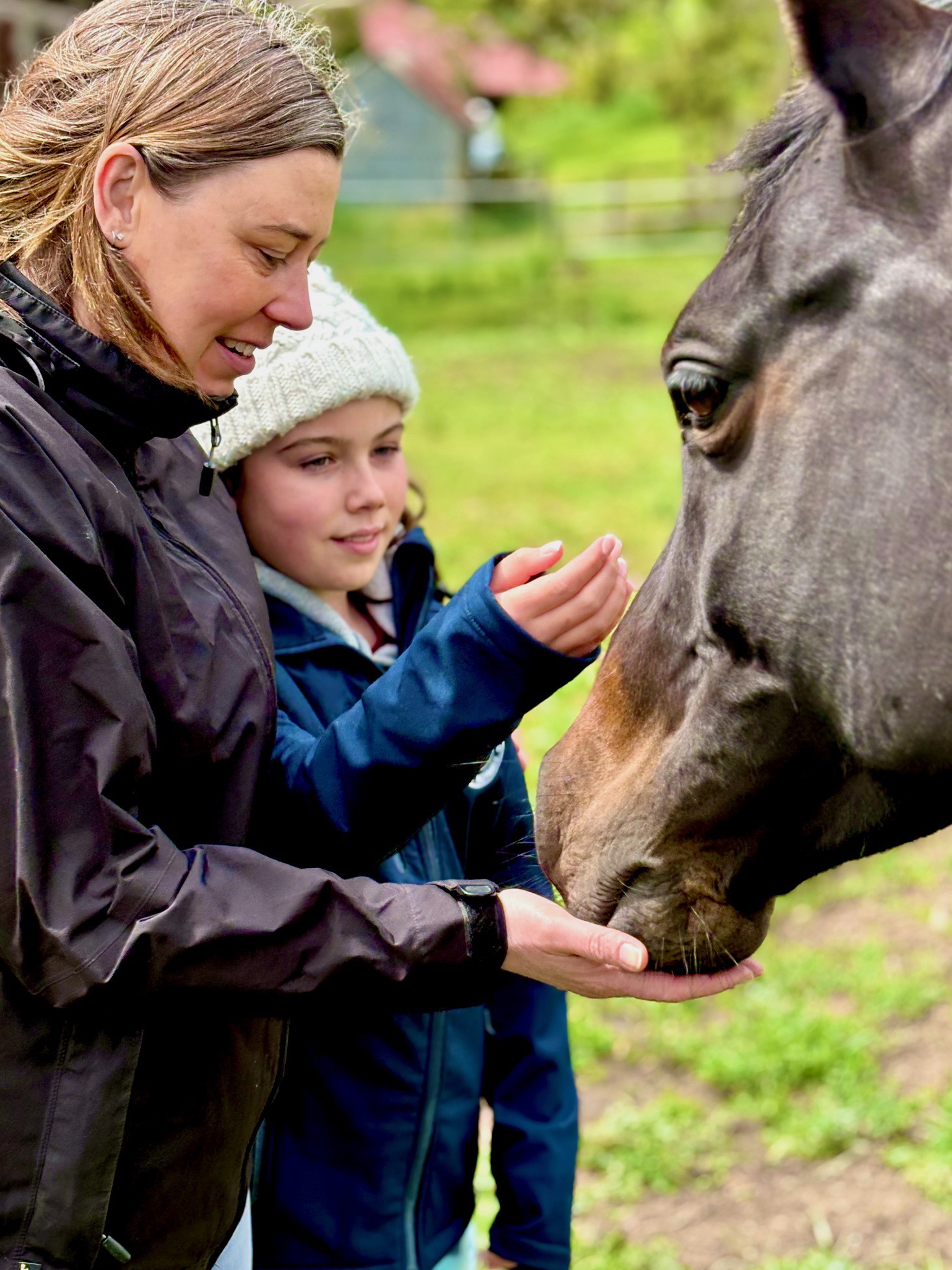 Walk Sublime horse farm experience