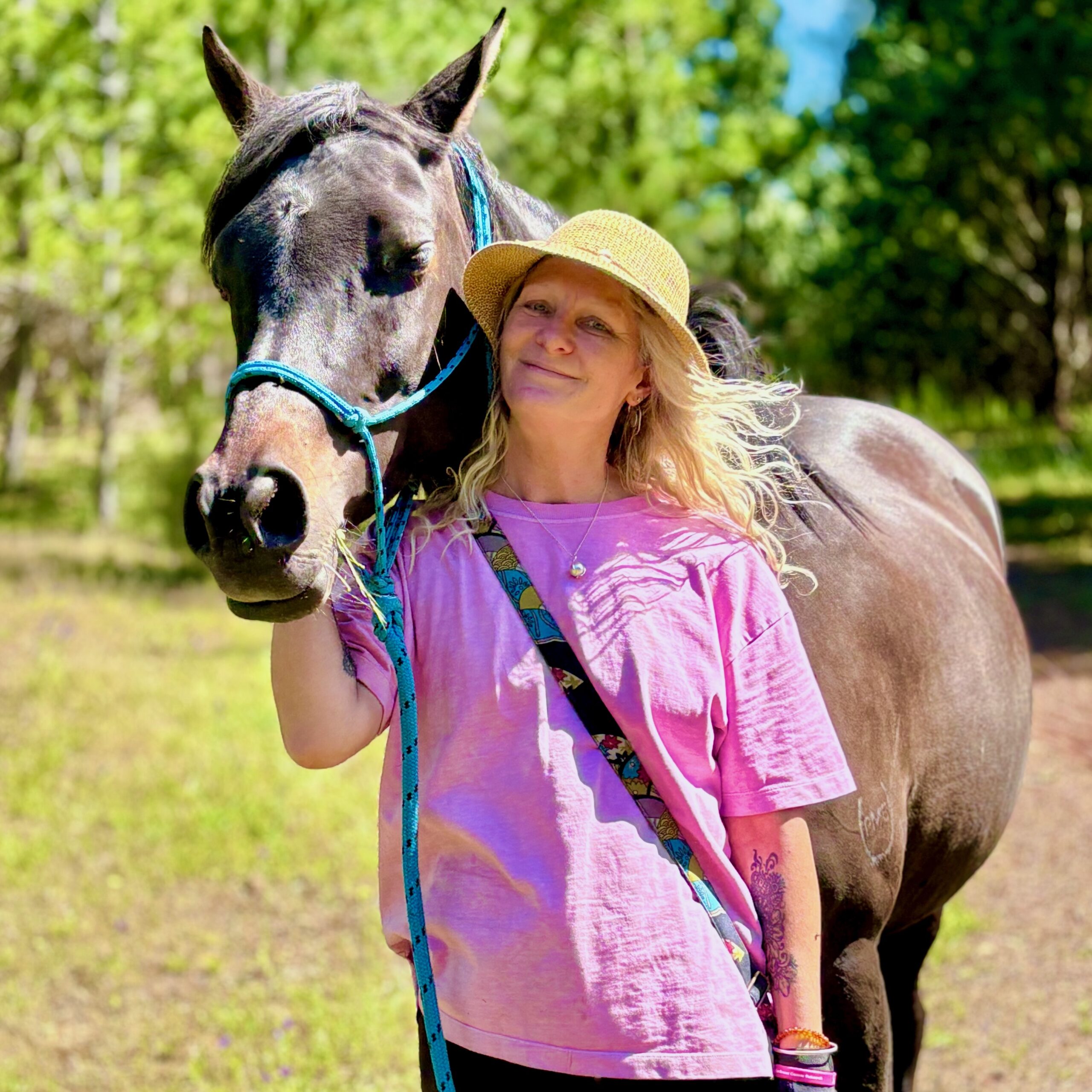 Heal forest walk horse experience 