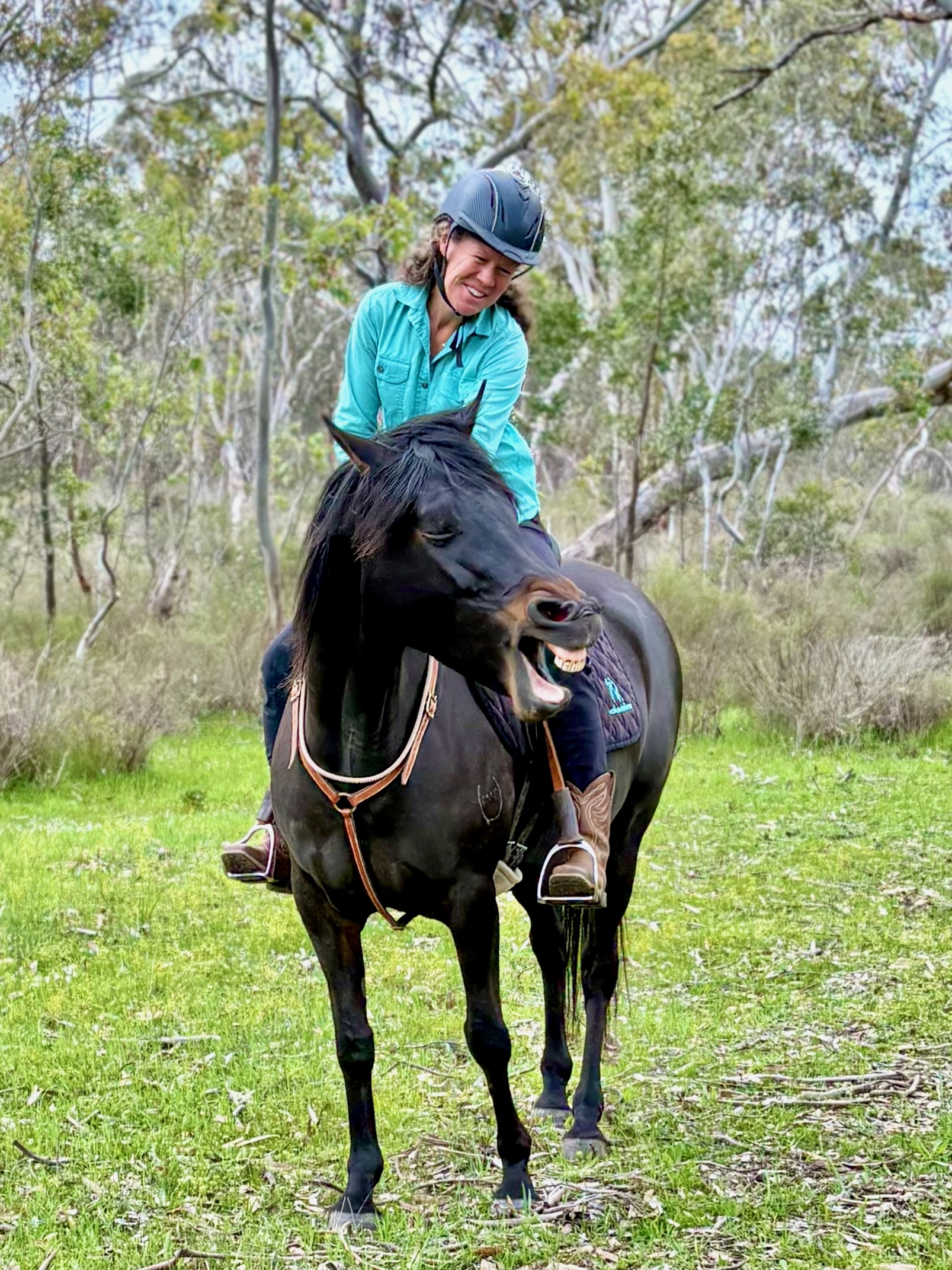 Bridleless horse riding The Sublime Way